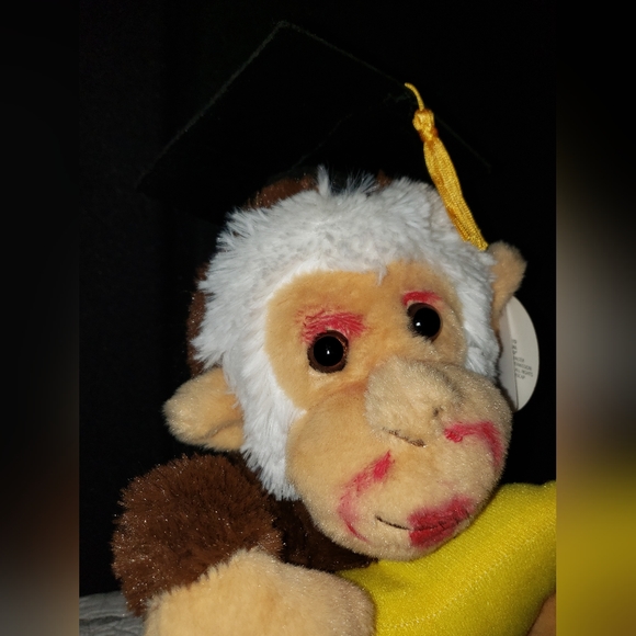 Switch Adapted Singing Graduation Monkey for Special Needs Child, Animated Plush - Picture 6 of 7